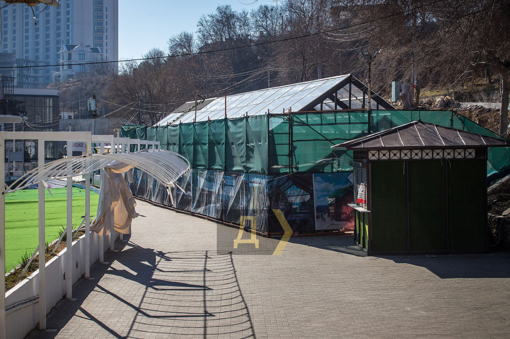 ����� �������� ����� �������