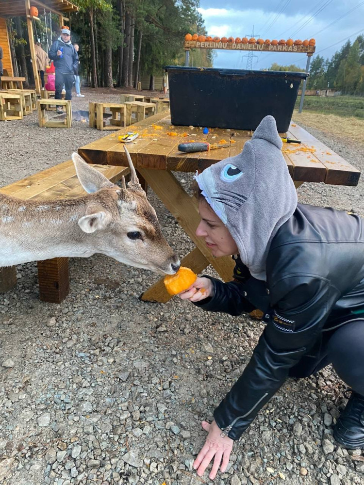 ������ ���������