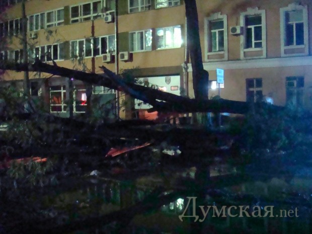 ����� ��������� �������