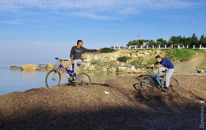 ���� ������, ���������� � ������� ������ � �����������, ������ �� �������