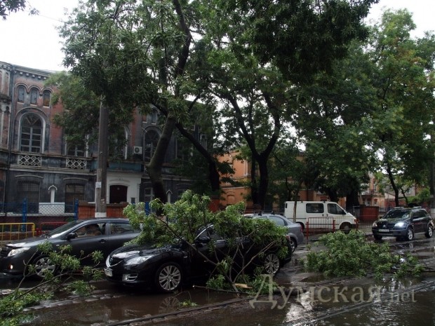 �� ��������������������� ����� ������ ����� �� ���������� � ���������� �������. ����: �. ���������