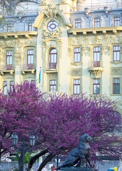 ������ ������ � �������