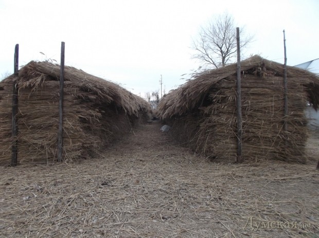 �������� ������ � �������