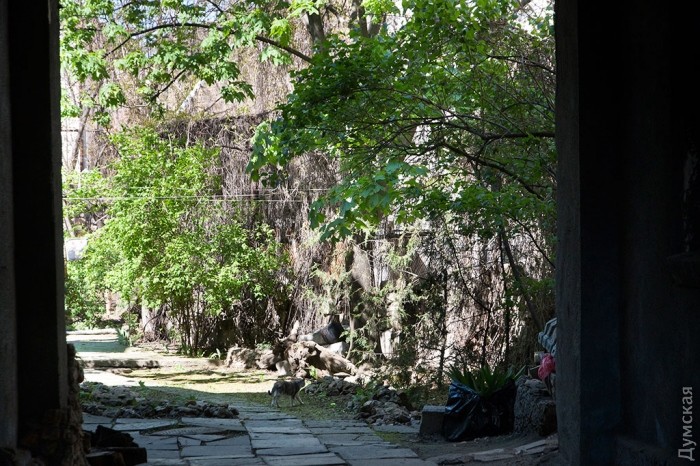 ����-��� �� ���������. ���� ����� ���������