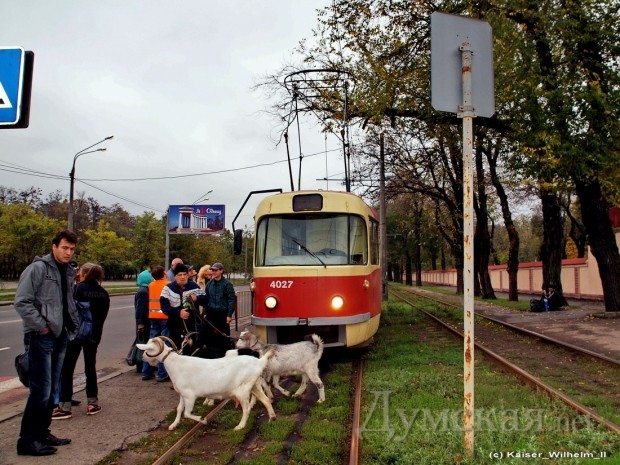 ������. ���������. �������. ����� ���.