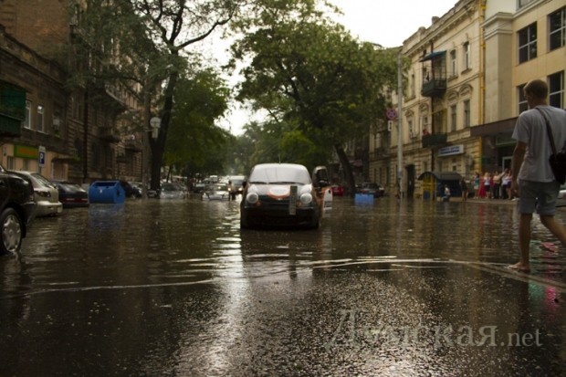 ���������. ����: ������������ "�������"