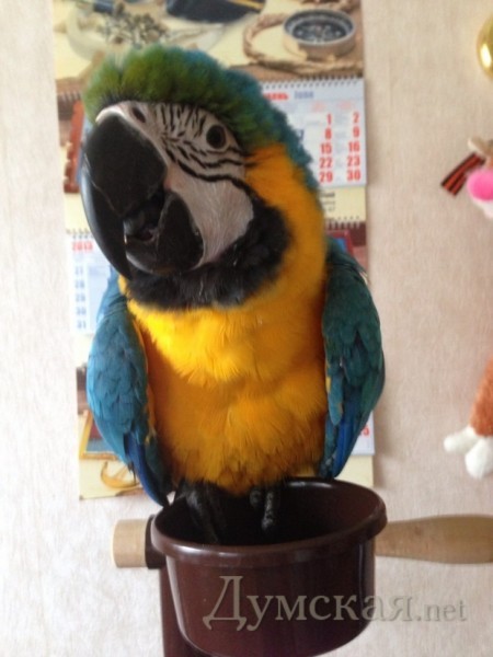 ��� ����� �������� ����� ����� ����������� �����    