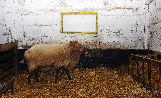 �������� �� ���������� ������