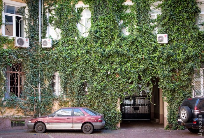 �������������� �������. ��������� ����