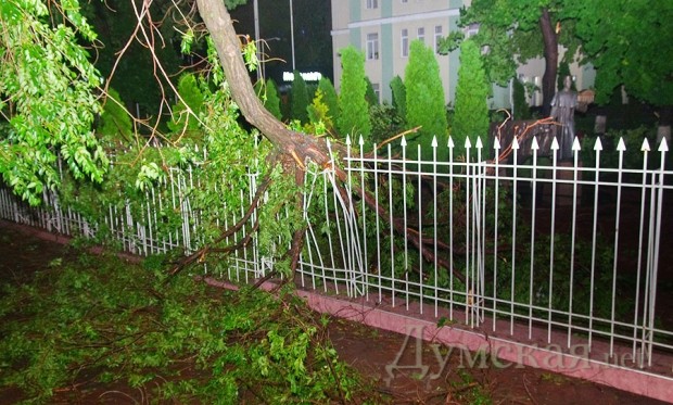 ������������ ���������� �� ����� ������������ ����� �� ����������