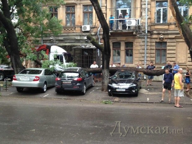 ���� "���������"