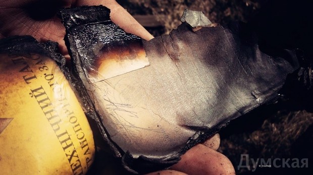 ���� ������ ������