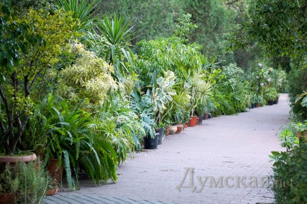 ����� ������� �������� ������� ���������� ����������� ��������. ������ �� ��������� � ���������.