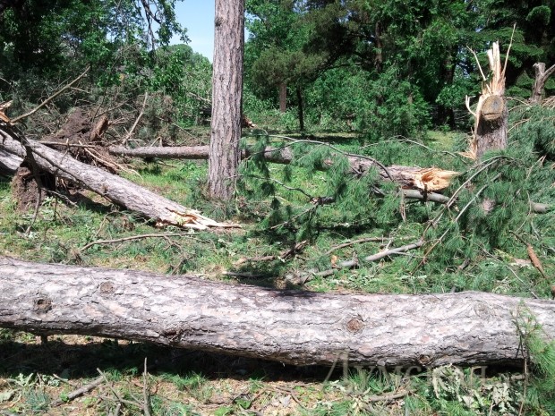 ���� 1 ���� � �������