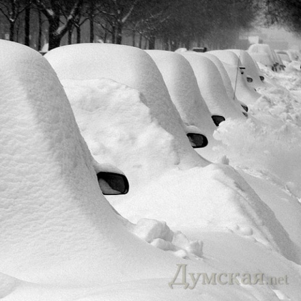 ���� http://www.grach.msk.ru/