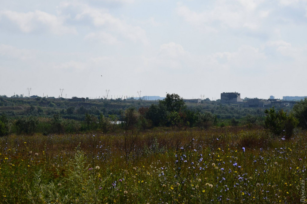 ��� �� ������� �������. ����� �������� - � �������� �������� �� ������