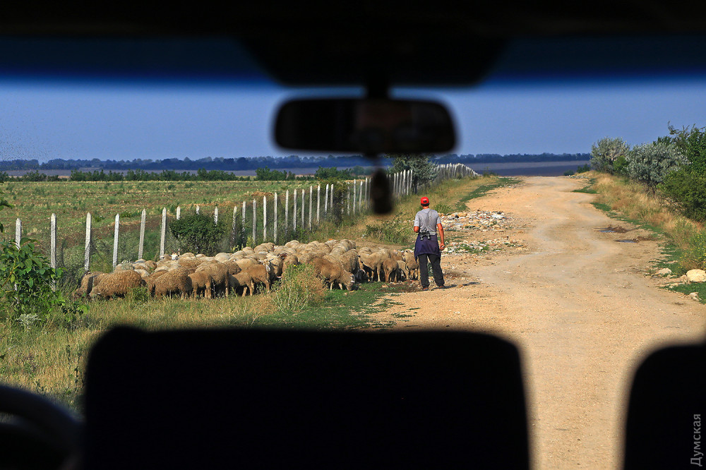 �������� ������������