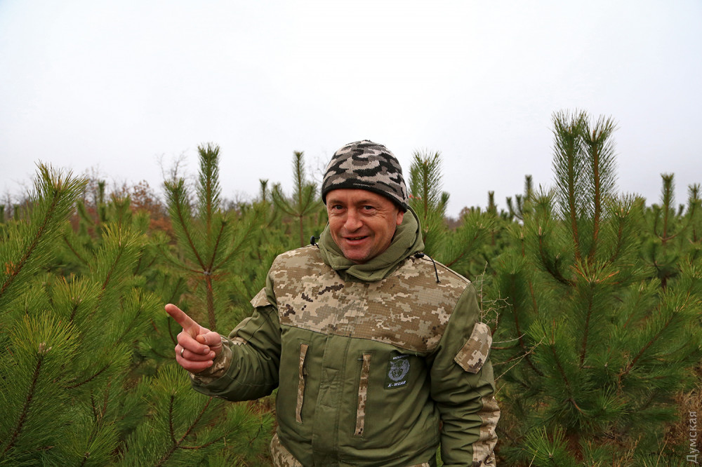 �������� ������ ��������