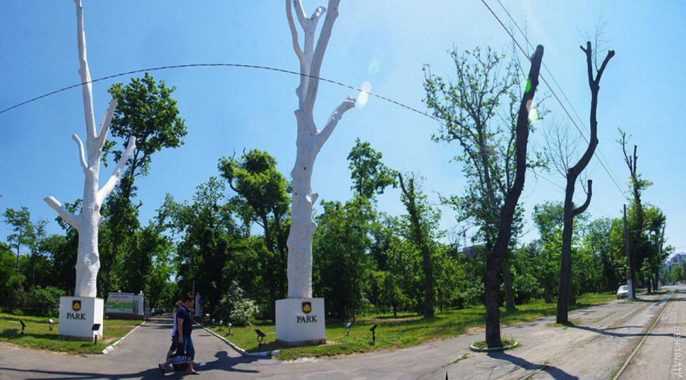 ���� ���