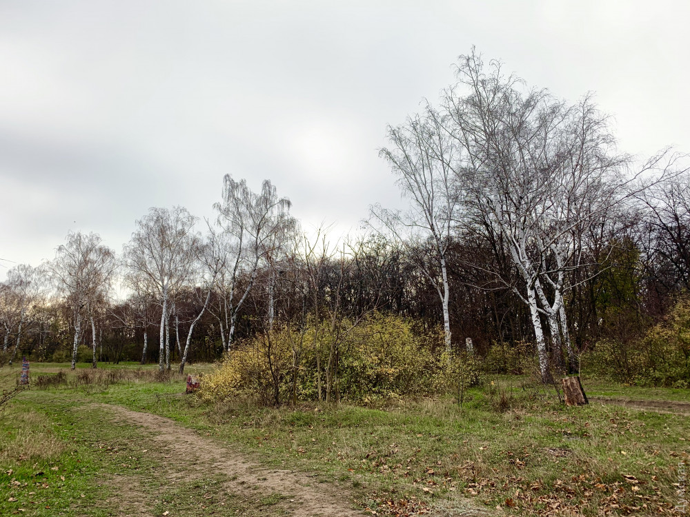 ��������� ����