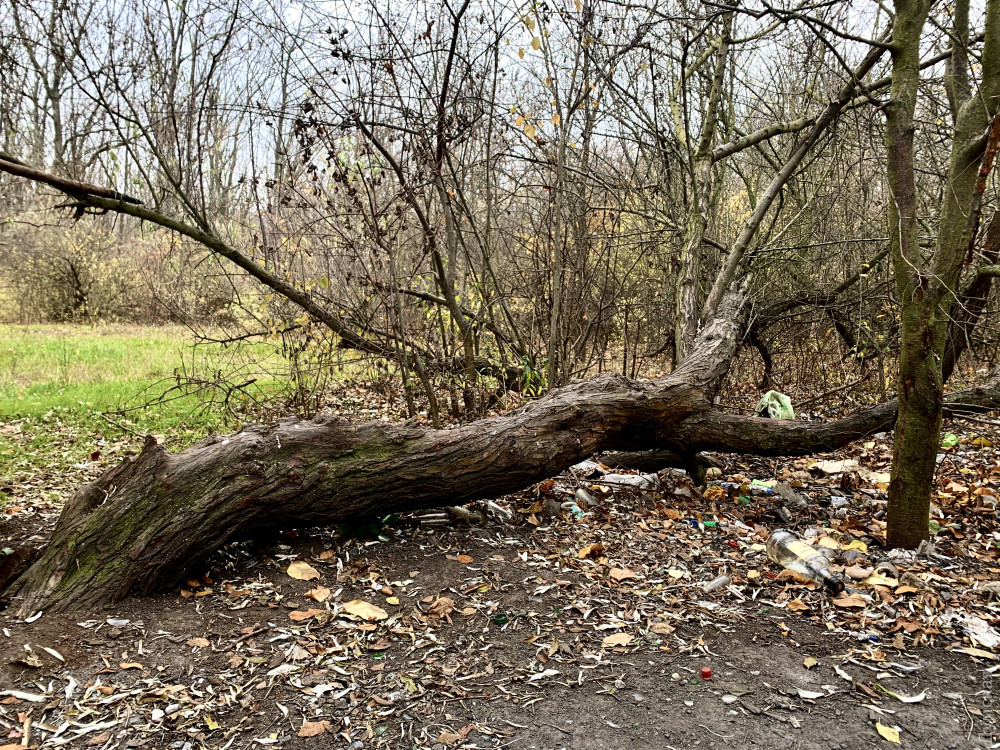 ����������� ������ ���������