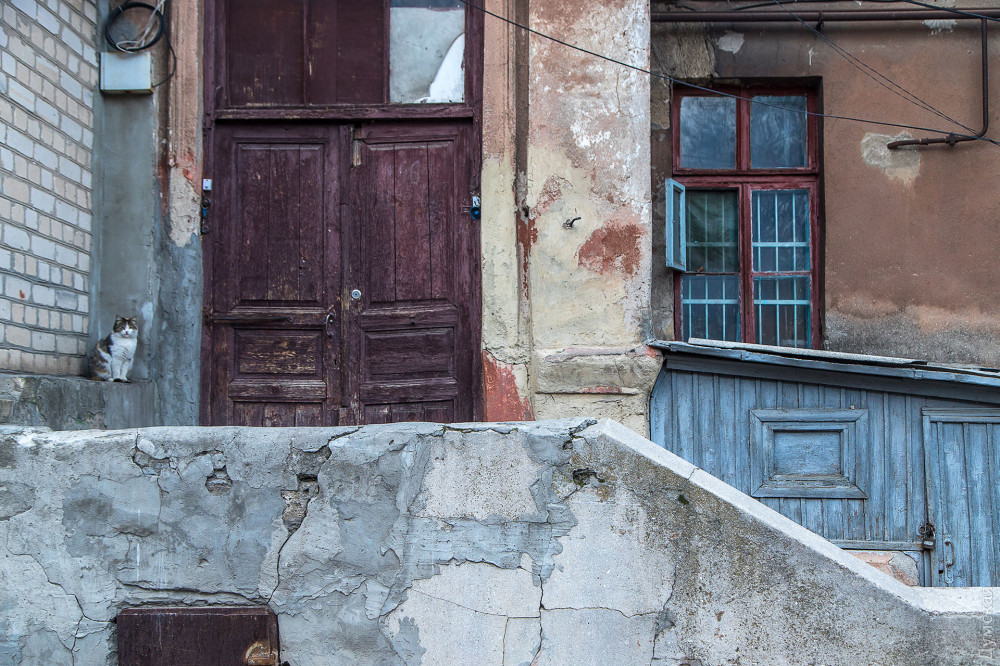 ����� ����