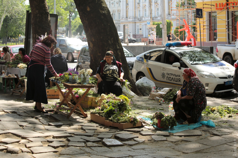 �� ���������� ����� �����-���������� ������ ��� �� (���)