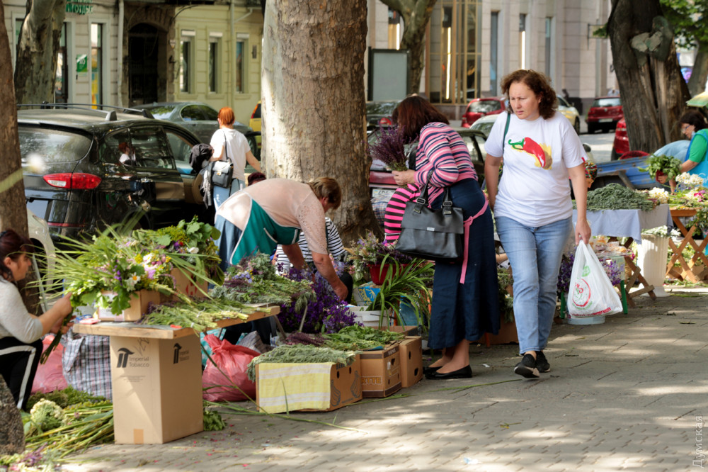 �� ���������� ����� �����-���������� ������ ��� �� (���)