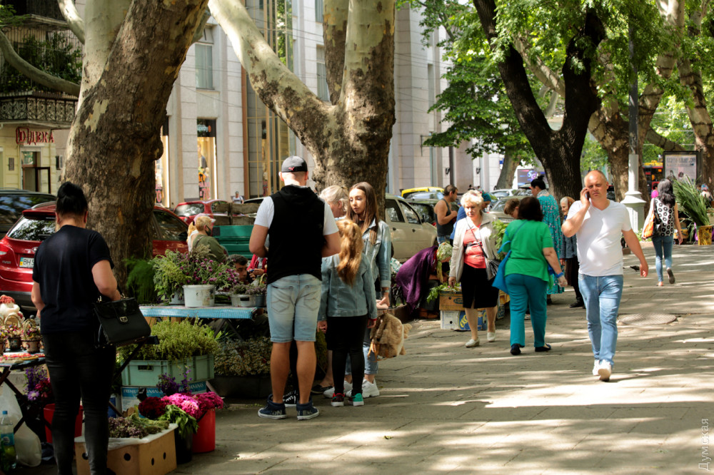 �� ���������� ����� �����-���������� ������ ��� �� (���)