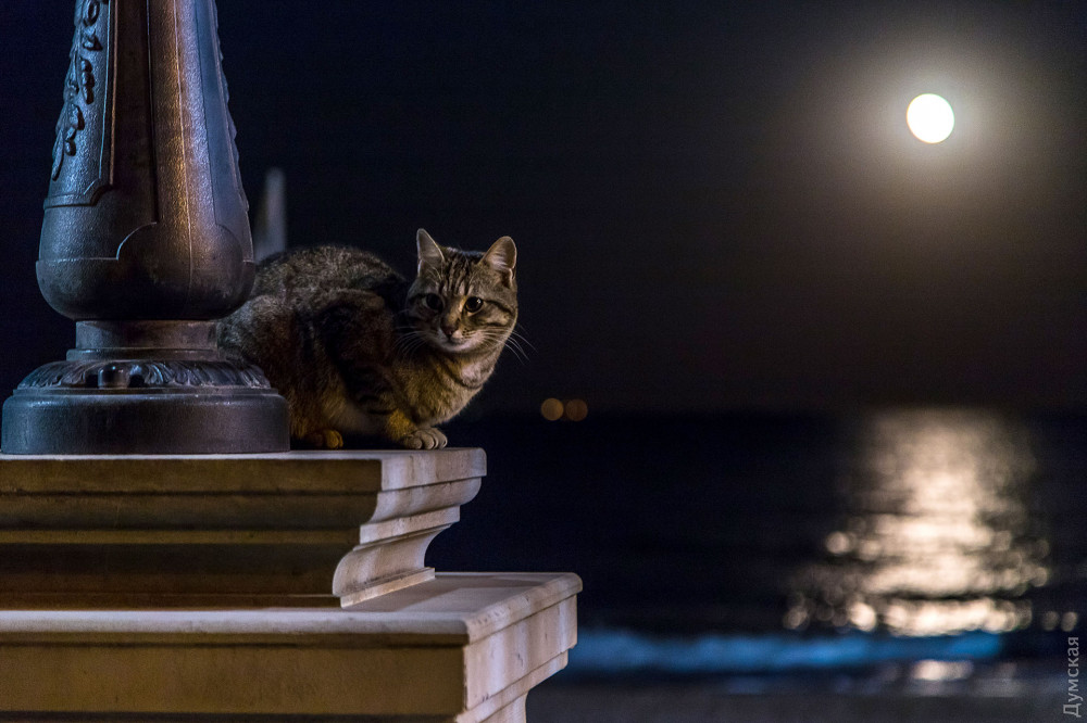 9 ������ � ������ ����� ���� ��������� ����������