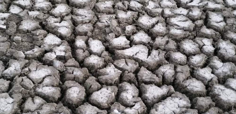 �������� ����� �������� ������� ������� � 2022 ����