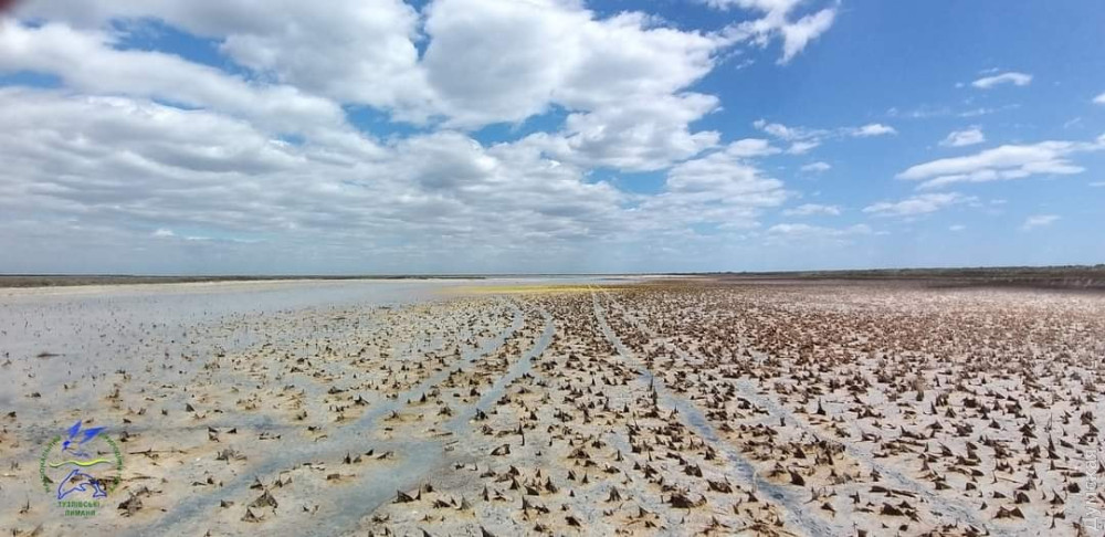 �������� ����� �������� ������� ������� � 2022 ����