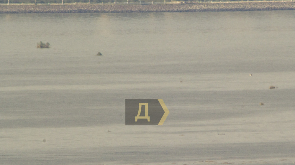 ����� � ���������� � ������� ������