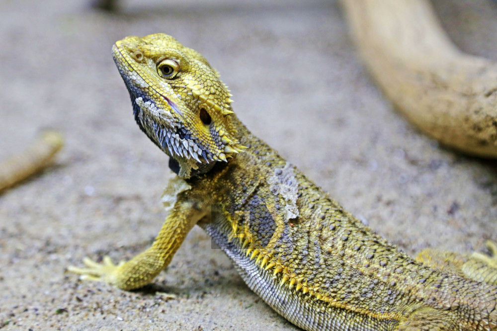 ��������� ������� ��� ���������� �����