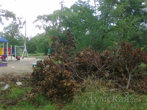 ��� ������ ��� ������ � ���� ����� ����� � ������