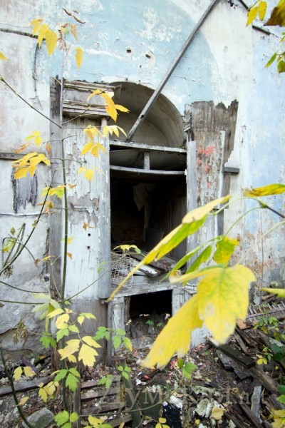 ������� ���� �-�����, ��� ��������� ������ ����