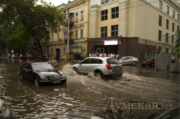 ���������. ����: ������������ "�������"