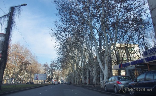 ��� ������� ���� ����� ������. ��������, �������!