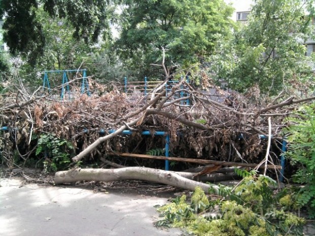 ���������� ������, 39 ����� ����� ����� �������