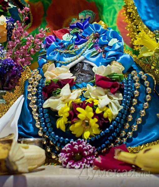 ������� �����, ������� ����� 500 ��� � ����������� �� ����� ����������� � ������ ���� (�����) ��������. � ���������� ����� -  ��� ������ ������� ����� �������� � ����� ��������� �������. ��� ����������� ����� �������� �������, ��� ��� �� ���� �������� ����� ��� �����, ��� � �����������, � �������� ������. ��� �������� ������ ���� � ���� ������, ������� ��� �������� ������ ����� ������