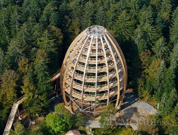 ����� ���������������, ��������, ������ � 44 �����