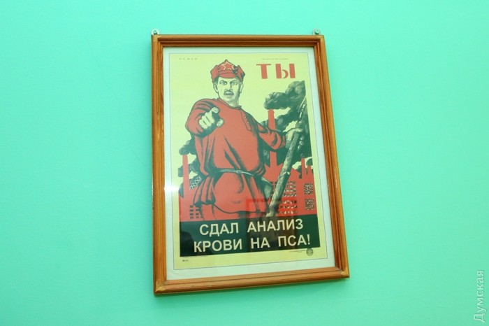 ��� � ������ ��������, ������, ���-�� �������