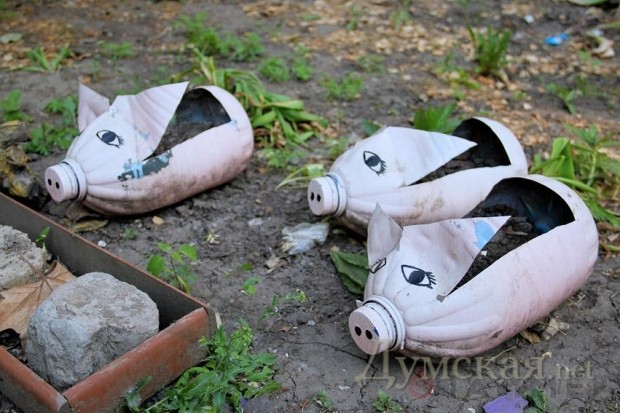 ������ �� ����������� ������� ���-�� �� ���������