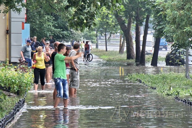 ����������. ����: ������� ��������