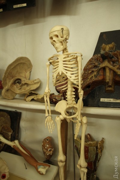 ������� ��������. ������ ���������� ������ ��� ���