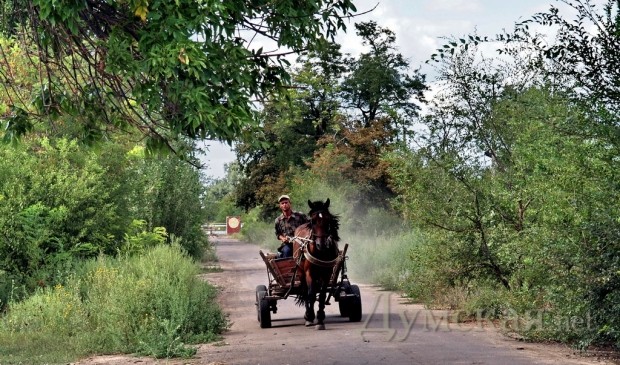 ����� ���������� ��������� ������