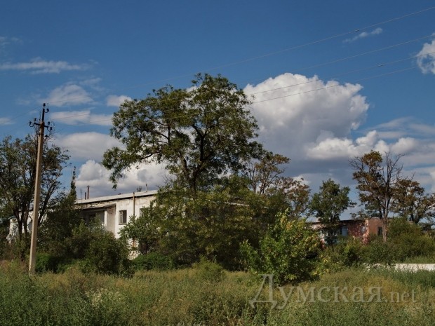 ��� ��������� ����� ���� - ����: ���� ����������� �������