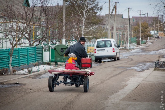 ���� ����������� ���������