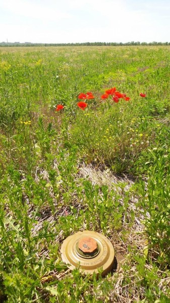 ���� ������ ������