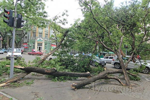 �� �������� ���� ��� �� �����